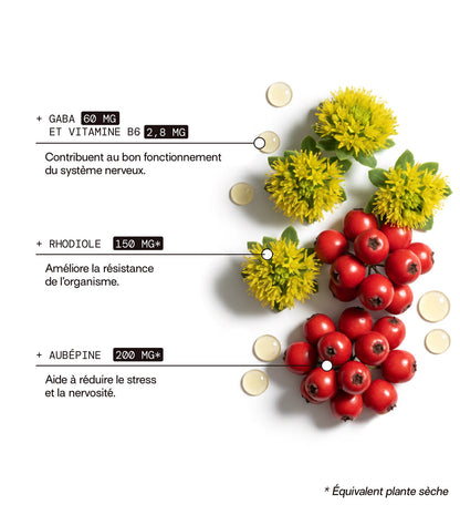 composition: gaba 60mg, vitamine b6, rhodiole, aubépine