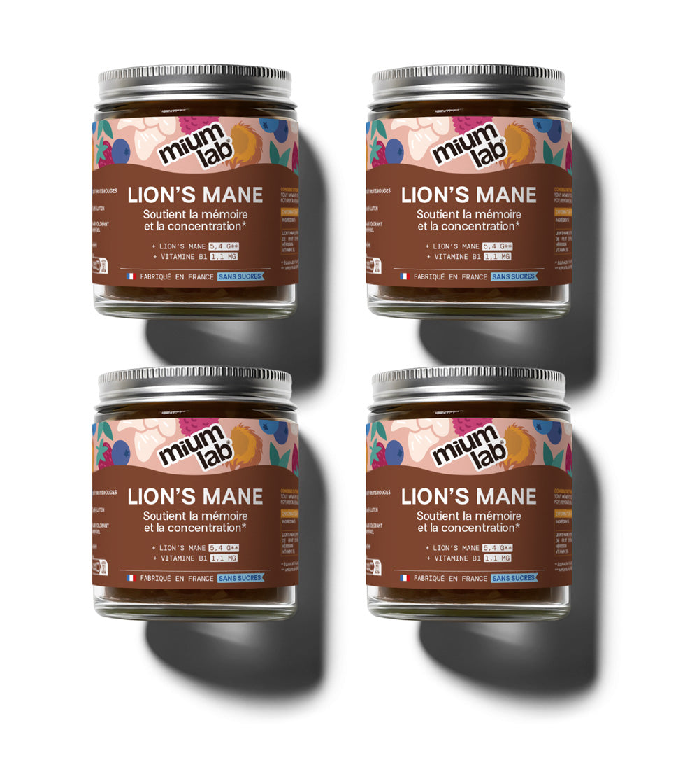 Pack 4 botes Gummies MELENA DE LEÓN | Apoya la memoria y la concentración | 3 meses