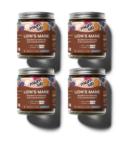 Pack 4 botes Gummies MELENA DE LEÓN | Apoya la memoria y la concentración | 3 meses
