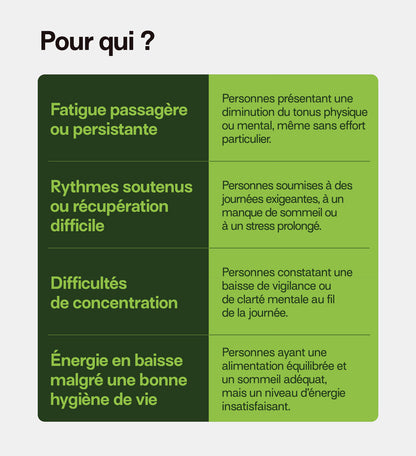 fatigue persistante ou passagère, rythme soutenu, énergie en baisse