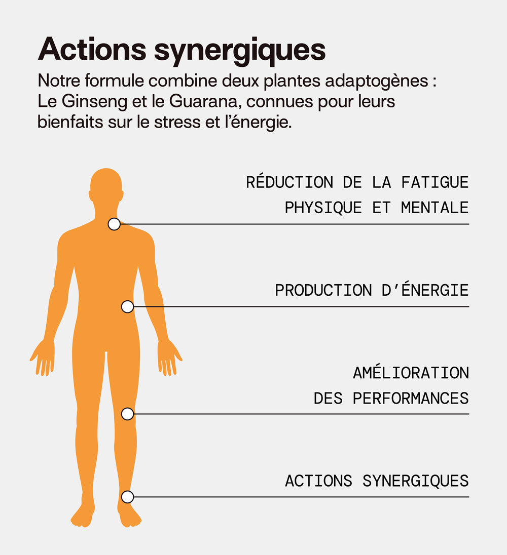 action synéergique grâce au ginseng et guarana