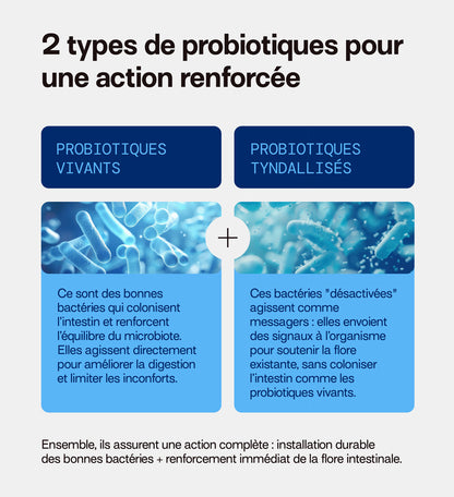 Pack Trio RESET MÉTABOLISME JOUR &amp; NUIT | Morosil + Probiotiques + Sommeil | 3 x 21 jours