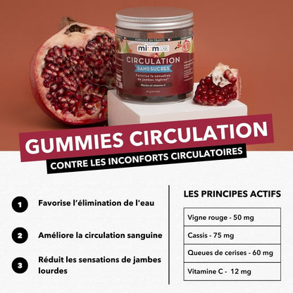 Gummies CIRCULATION SANS SUCRES | Super pack | 4 x 21 jours