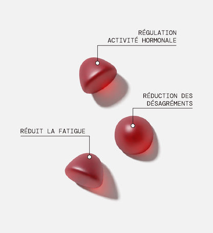 Pack Gummies Ménopause SANS SUCRES | Soutient l&